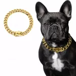 Tvirtas nerūdijančio plieno antkaklis &scaron;unims (bulldogams, amstafams, Cane Corso)