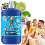 Skalbinių skalavimo skystis Coccolino Perfume & Care Citrus, 1,275 l, mėlynas