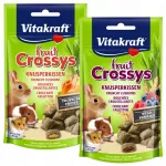 Užkandis graužikams VITAKRAFT FRUIT 50 g