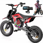 Vaiki&scaron;kas elektrinis motociklas iscooter A14, 500W, 187,2 Wh