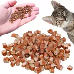 Katinų dresūros skanėstai MINI FISH MORSELS, 50 g