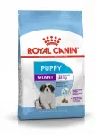 Sausas pa&scaron;aras &scaron;uniukams Royal Canin Giant, 5 kg