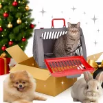 Gyvūnų narvas Transporter Pig Rabbit Cat, tinkamas automobiliui ir lėktuvui