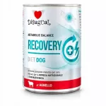 &Scaron;unų konservai Disugual Veterinary RECOVERY su ėriena, 400 g