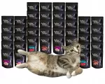 &Scaron;lapias kačių maistas Dolina Noteci Premium, įvairių skonių, 40 x 85 g