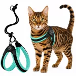 Katinų petne&scaron;os TRE PONTI, 30&ndash;40 cm, iki 4 kg, mėtų spalvos, orui laidžios