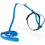 Katės petne&scaron;os ir pavadėlis PetSafe Easy Walk, mėlyni, M dydis