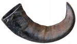 Kramtukas &scaron;unims Trixie Buffalo Horn, M dydis