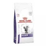 Sausas kačių maistas Royal Canin Expert Feline Dental, 3 kg