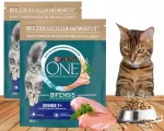 Sausas kačių maistas PURINA ONE Senior 7+ su vi&scaron;tiena, 2 x 750 g