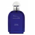 Vyri&scaron;kas tualetinis vanduo JAGUAR EVOLUTION, 100 ml