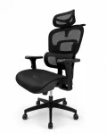 Ergonominė biuro kėdė su galvos atlo&scaron;u, juoda, tinklinė nugarėlė, 3D porankiai, pasukama