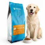 Sausas ėdalas &scaron;unims Lincoln Adult, ėriena su ryžiais, 12 kg