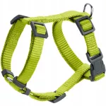 &Scaron;unų petne&scaron;os Hunter London VR 25-42 cm, XXS, žalsvos