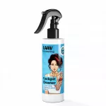 Plastikinių detalių valiklis matinis LAAV, 250 ml
