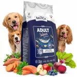 &Scaron;unų pa&scaron;aras BALTICA ADULT SALMON Hypoallergenic vidutinių veislių, la&scaron;i&scaron;a ir bulvės, 9 kg