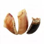 Jautienos kanopos &scaron;unims, apie 500 g, 5 vnt.