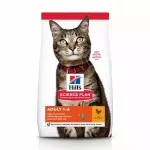 Sausas kačių pa&scaron;aras Hill's Science Plan su vi&scaron;tiena, 10 kg