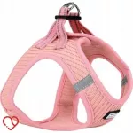 &Scaron;unų petne&scaron;os AniOne Optimal Fit, 28&ndash;32 cm