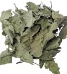 Pienių lapai, 500 g