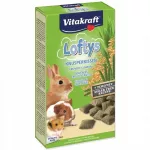 Graužikų skanėstas VITAKRAFT LOFTYS, 100 g