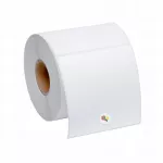 Lipnios terminio perkėlimo etiketės, 100 x 170 mm, 1000 vnt.