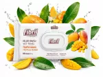 Drėgnos servetėlės Fibril Mango 90 vnt.