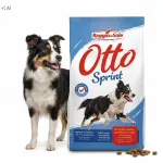 Sausas &scaron;unų maistas Otto Sprint Raggio di Sole su kiauliena, 9 kg