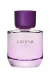 Moteri&scaron;ki kvepalai ZARA GARDENIA 90 ml