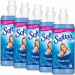 Skalbimo skystis Softlan Windfrisch Blue, 5 x 1 l, 225 skalbimų, Vokietija
