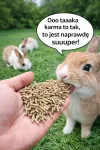 Triu&scaron;ių pa&scaron;aras granulėmis 10 kg, visavertis, Premium