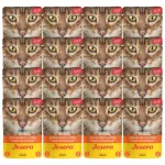 Vi&scaron;tienos sultinys katėms su morkomis ir &scaron;pinatais JOSERA, 16 x 70 g