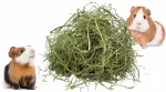 &Scaron;ienas gyvūnams, 9 kg &ndash; &scaron;viežias, ūkininko