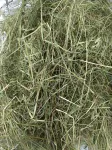 &Scaron;ienas triu&scaron;iams ir graužikams, 1 kg, natūralus, žolelių, premium kokybės