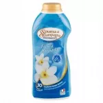 Skalavimo koncentratas SPUMA FRESCA, 600 ml