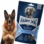 &Scaron;unų skanėstas HAPPY DOG Arthro Fit sąnariams, 100 g