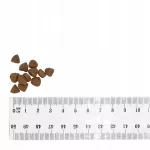 Sausas &scaron;unų maistas BULT jauniems &scaron;unims, su antiena ir kalakutiena, 3 kg