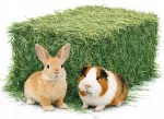 &Scaron;ienas triu&scaron;iams ir graužikams, žalias, iki 10 kg, didelė dėžė