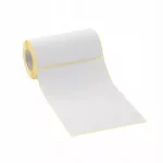 Terminės etiketės ZQ521, ZQ630, RJ4230, RJ4250, 100x160 mm, 25 mm, 70 vnt.