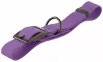 Vandeniui atsparus antkaklis &scaron;unims Dog Crazy, violetinis, M dydis, 40&ndash;50 cm, 25 mm