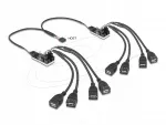 USB &scaron;akotuvas Delock 61072, 8 jungtys, USB 2.0