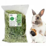 Triu&scaron;ių ir graužikų pa&scaron;aras su mėta, XXL, 300 g