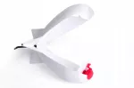 Masalinė FOX Spomb