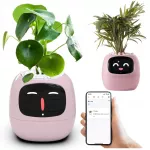 Gėlių vazonas IVY PLANTER su i&scaron;maniu dangčiu