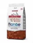 Sausas ėdalas &scaron;uniukams Monge Mini su ėriena ir ryžiais, 2,5 kg