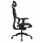 Ergonominė kėdė Control Series juoda LVN System