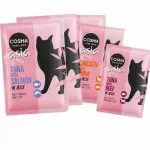 Katinų ėdalas Cosma Asia, įvairių skonių, 6 x 100 g, Vokietija