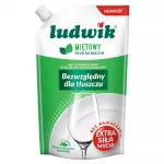 Indų ploviklis Ludwik su mėta, 450 g