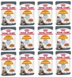 &Scaron;lapias maistas katėms Royal Canin Hair & Skin Care drebučiuose, 85 g, 12 vnt.
