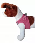 &Scaron;uns petne&scaron;os su pavadėlio žiedu, M dydis, tinka Shih Tzu ir Maltipoo